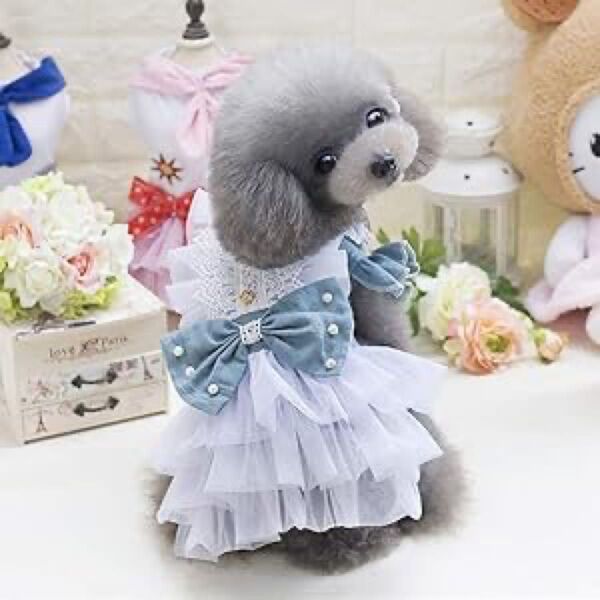 限定1点 小型犬 フリルが可愛い ペットドレス 記念日 お誕生日 おでかけ 犬服 ドッグウェア ワンピース トイプードル