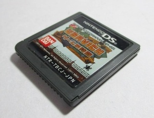 ●●　ウサビッチ ゲームの時間 ●● ソフトのみ NINTENDO DS USAVICH