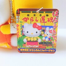 ご当地 地域 限定 熊本 名物 からし 蓮根 レンコン ハローキティ Hello Kitty ぬいぐるみ マスコット ボールチェーン タグ付き 2005年_画像9