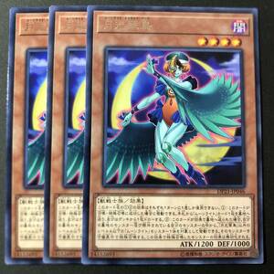 遊戯王 月光翠鳥 レア 字レア 3枚 DP21-JP046