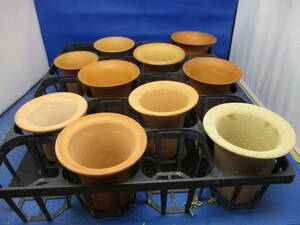 ＦＴ富貴蘭、 素焼きラッパ鉢１０個セット（中古）茶系、１個白系