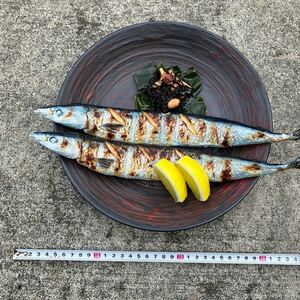秋刀魚　さんま　サンマ　食品サンプル