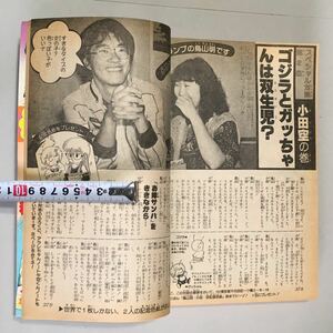 りぼん 1981年 (検索 鳥山明/対談第2回 新連載/萩岩睦美/三等星 小椋冬美 クリスタルロマン/篠崎まこと 一条ゆかり 他 昭和56年 マンガ