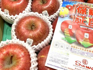 【Good】糖度保証！カラーセンサー撰別品！りんごの本場・青森産『サンふじ』大玉6～8玉 約2kg