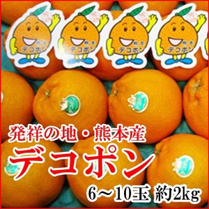 【Good】発祥の地・熊本産 デコポン JA熊本果実連 6～10玉 約2kg