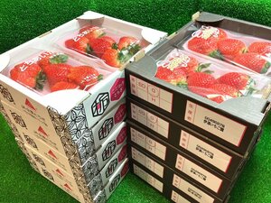 【Good】すぐ発送！！大量10箱セット！たっぷり20パックお届けです！高級いちご 栃木産『スカイベリー』＆『とちあいか』