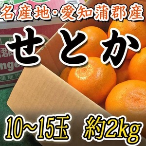 【Good】大量20箱出品中！高級柑橘『ハウスせとか』JA蒲郡産 10～15玉 約2kg