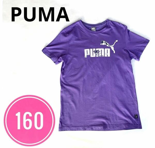 プーマ　PUMA キッズ　半袖　Tシャツ　パープル　160
