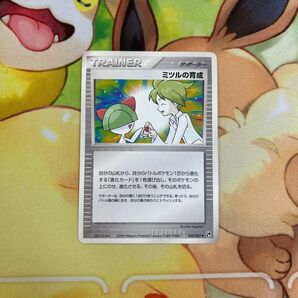 ミツルの育成 ポケモンカード ポケカ