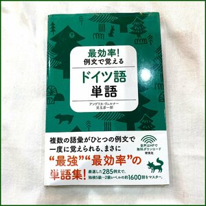 中古●研究社●再効率！例文で覚えるドイツ語単語 アンゲリカ・ヴェルナー/児玉彦一郎 語学