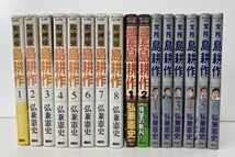 マンガまとめ売り / 在庫処分 / 島 耕作まとめ 不揃い / 取締役 8点,部長 2点,常務 6点/ 計16点 /弘兼 憲史/モーニングKC/講談社【M050】_画像1