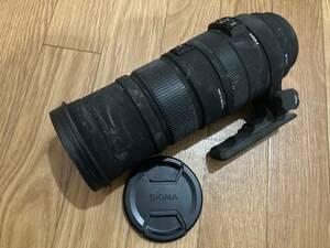 SIGMA シグマ DG 50-500mm F4.5-6.3 APO HSM OS キャノン Canon 中古