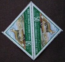 イエメン　1981 野生生物の保護　アラビアヒョウ　1種　三角切手　ペア　動物　未使用糊あり_画像3