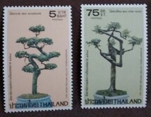 タイ　1981 国際通信週間　ドワーフツリー　4完 植物　木　未使用糊あり透かし_画像4