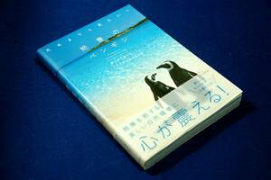 澤井聖一/死ぬまでに見たい! 絶景のペンギン■エクスナレッジ+帯■想像を絶する美しい自然環境に心が震える.愛らしいキャラクターに心癒さ