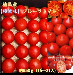 徳島県産 フルーツトマト【極濃味】(このみ)超濃厚 旨味 糖度10以上 化粧箱 ギフト 約900g〜1kg 贈答用 バレンタインデー