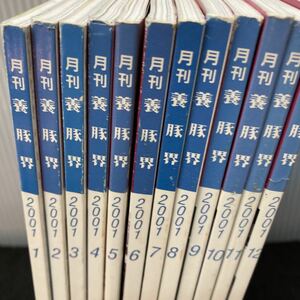 まとめ-く 月刊養豚界 2001-1~12 チクサン出版社 新春特別座談会 21世の養豚を支える新星たち/その他 全12冊セット 発行 ※7