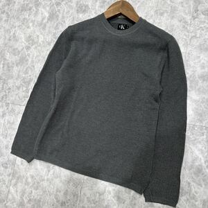 LL @ 国内正規品 '高級感溢れる' CK Calvin Klein カルバンクライン 長袖 メッシュ地 クルーネック Tシャツ / カットソー sizeM トップス 