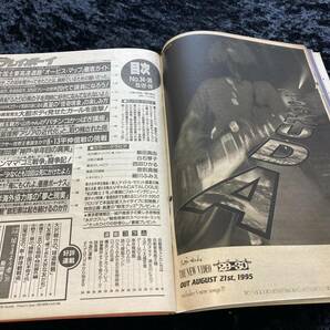 週刊プレイボーイ 1995年 No.34・35超特大合併号 鶴田真由/細川ふみえ/西田ひかる/内田有紀の画像5