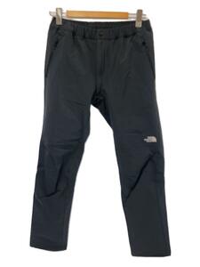 THE NORTH FACE◆ALPINE LIGHT PANT_アルパインライトパンツ/L/ナイロン/GRY