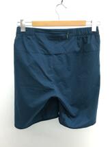 THE NORTH FACE◆SWALLOWTAIL VENT HALF PANT_スワローテイルベントハーフパンツ/M/ポリエステル/BLU/_画像2