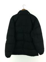 THE NORTH FACE◆ダウンジャケット_ND-1025/L/ポリエステル/BLK/無地_画像2