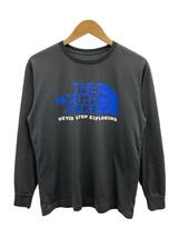 THE NORTH FACE◆L/S COLOR DOME TEE_ロングスリーブカラードームティー/L/ポリエステル/GRY_画像1