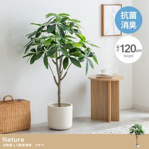 【送料無料】【高さ120cm】Nature 光触媒人工観葉植物　パキラ