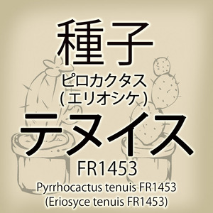 【輸入種子】ピロカクタス・テヌイス Pyrrhocactus tenuis FR1453 エリオシケ Eriosyce サボテン 多肉植物(種111-69)