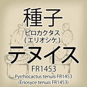 【輸入種子】ピロカクタス・テヌイス Pyrrhocactus tenuis FR1453 エリオシケ Eriosyce サボテン 多肉植物(種111-69)の画像1