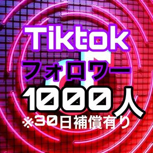 Tiktok フォロワー 1000人 【収益化可能】 HP/APP作成します 30日減少保証 操作不要 URLのみでOK / ティックトック　 再生数 視聴回数