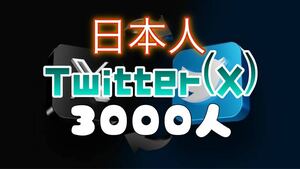 【おまけ Twitter X 3000 日本人フォロワー】※MAINの画像を販売します。　Twitterのフォロワーをおまけでつけております。エックス 収益化