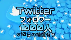 Twitter フォロワー 1000人 【収益化可能】 HP/APP作成します 30日減少保証 操作不要 URLのみでOK ツイッター　 再生数 X エックス