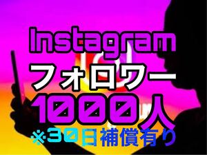 Instagram フォロワー 1000人 【収益化可能】 HP/APP作成します 30日減少保証 操作不要 URLのみでOK インスタグラム 再生数 follower