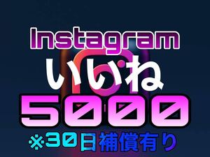 Instagram いいね 5000人 【収益化可能】 HP/APP作成します 30日減少保証 操作不要 URLのみでOK インスタグラム 再生数 高評価