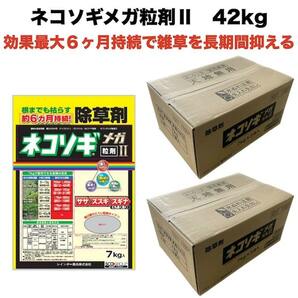 除草剤 強力 粒剤 顆粒 7kg×6袋 ネコソギメガ 粒剤 II 42kg 土壌処理型 レインボー薬品 業務用にも 約６ヶ月持続 II IIの画像1