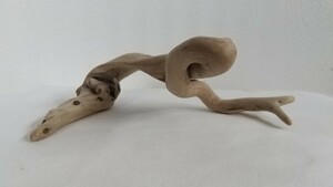 73* driftwood * reptiles breeding * interior * objet d'art * perch * insect breeding * art material 