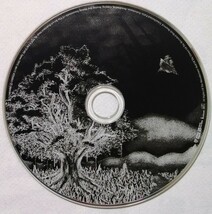 中古CD BUMP OF CHICKEN『 ユグドラシル 』品番：TFCC-86171_画像3