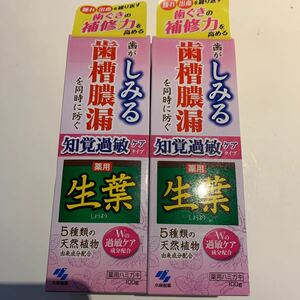 新品未使用品　小林製薬 生葉　歯槽膿漏 を同時に防ぐ　薬用 ハミガキ　知覚過敏ケア　100g 2本セット売り