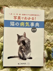 ne that . mochi appendix photograph . understand! cat. sick . lexicon 