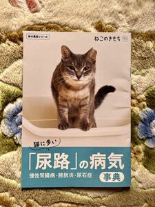 ne that . mochi appendix cat . many [ urine .]. sick . lexicon 