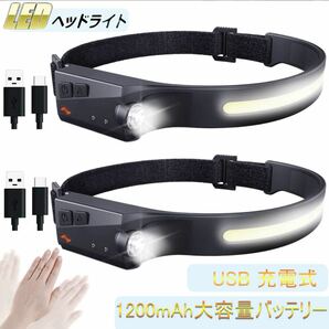 2個セット LEDヘッドライト 充電式USB LEDデュアル光源 ヘッドランプ 5種点灯モード 58g超軽量 高輝度 IPX4防水 防塵 1200mAh大容量の画像1