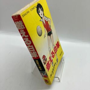 浦野千賀子 燃える白球 笠倉出版社 さくらコミックス SAKURA COMICS 昭和レトロコミックの画像3