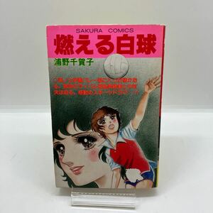 浦野千賀子　燃える白球　笠倉出版社　さくらコミックス　SAKURA COMICS　昭和レトロコミック