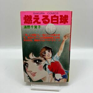 浦野千賀子 燃える白球 笠倉出版社 さくらコミックス SAKURA COMICS 昭和レトロコミックの画像1