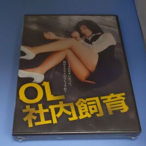 y 200 OL社内飼育 篠原さゆり 朝倉麗 新品未開封 DVD R-15