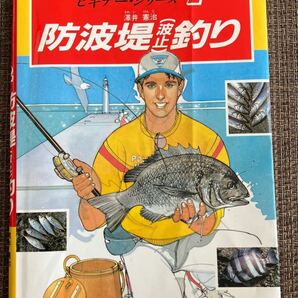 防波堤（波止）釣り （ビギナー・シリーズ　２） 沢井憲治／著　釣りの本　中古　趣味