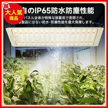 【超高輝度 長寿命 IP65防水】植物育成ライト 256LED パネル 600W相当 UV/IR 量子ランプ 室内栽培 多肉植物 水耕栽培ランプ 家庭菜園_画像4