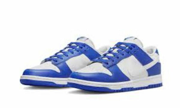 Nike Dunk Low Racer Blue and White/Reverse Kentucky29cm