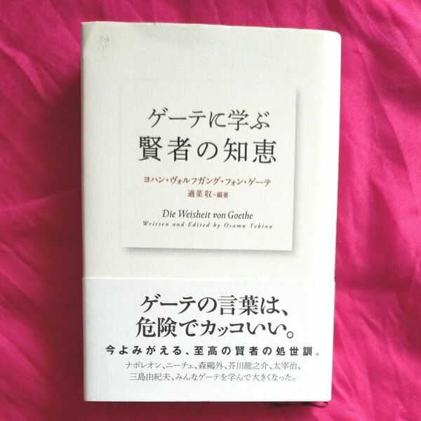 ゲーテに学ぶ賢者の知恵 ヨハン・ヴォルフガング・フォン・ゲーテ／著　適菜収／編著